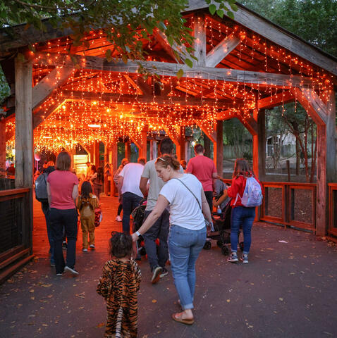 Hundreds of orange LED lights hung to light up the bridge