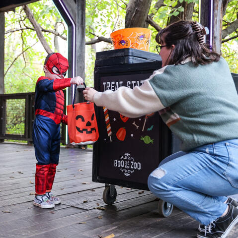 A trick-or-treat station being managed by a volunteer