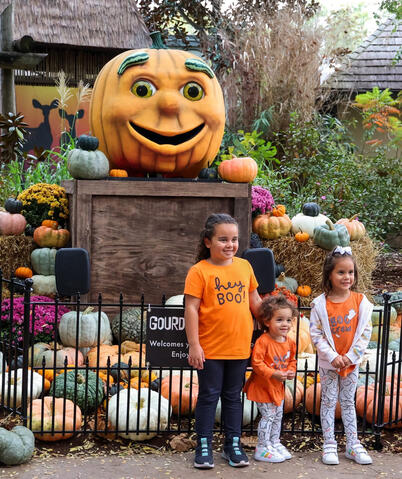 Gordon, a volunteer operated talking pumpkin, shown interacting with attendees