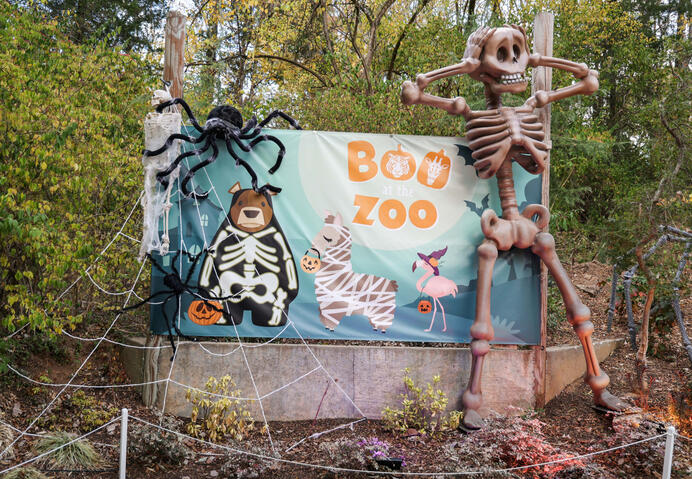 Decorations from the event