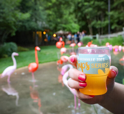Branded recyclable cup for Brew at the Zoo
