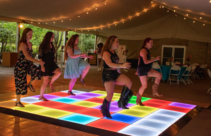 VIP area that included full-pour drinks, appetizers, animal encounters, and line dancing