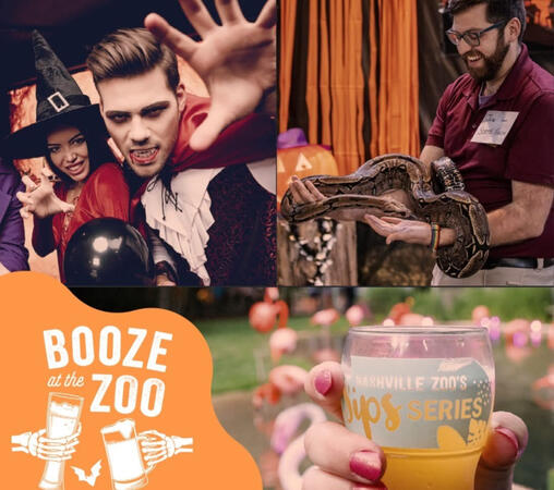 Booze at the Zoo, an adult-only halloween event