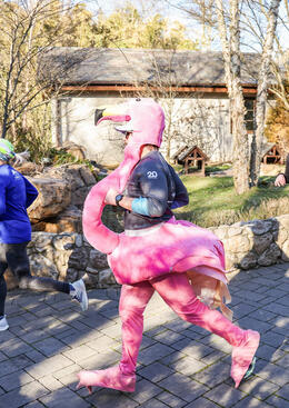 Guest at Zoo Run Run