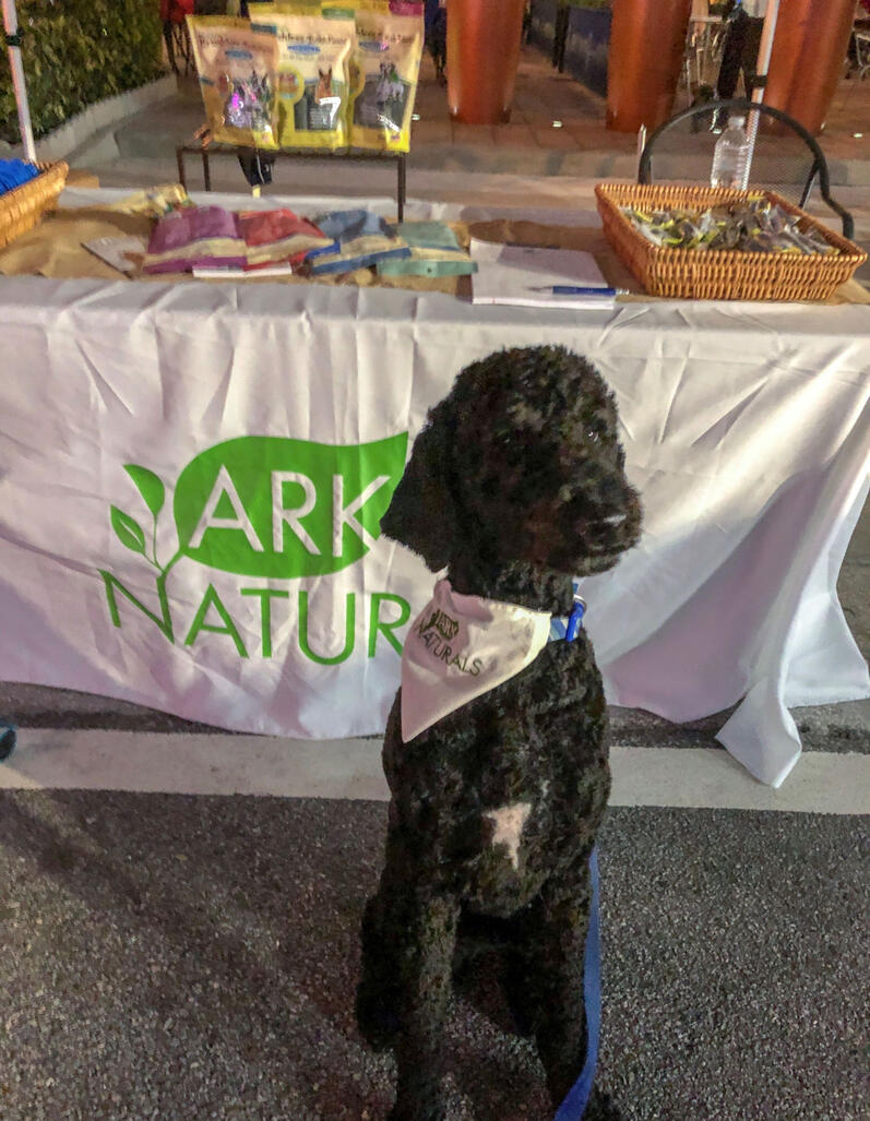My dog representing the company at a community event